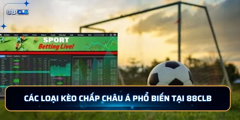 Các loại cược kèo Châu Á phổ biến tại 88CLB