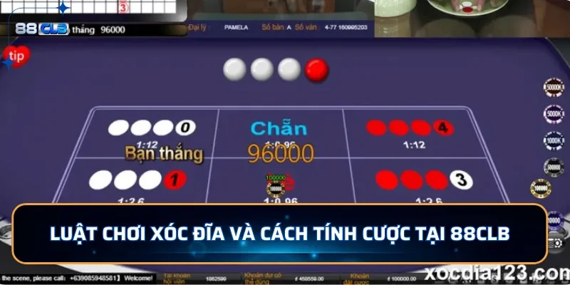 Luật chơi xóc đĩa và cách tính cược tại 88CLB