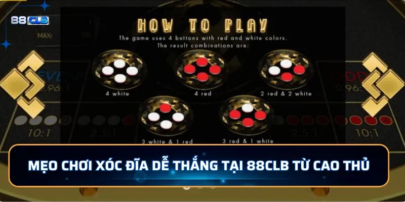 Mẹo chơi xóc đĩa dễ thắng tại 88CLB từ cao thủ
