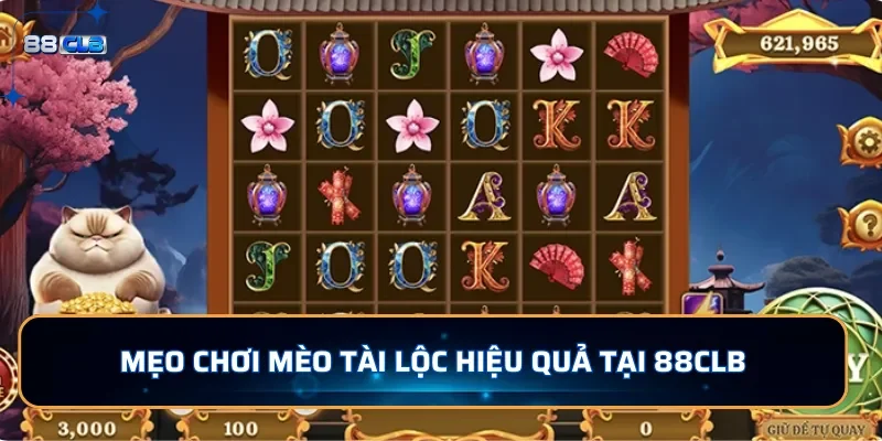 Mẹo chơi Mèo Tài Lộc hiệu quả tại 88CLB