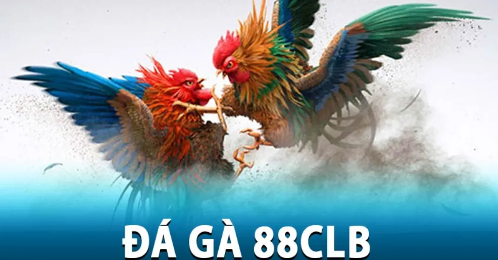 Hướng dẫn tham gia Đá Gà 88CLB