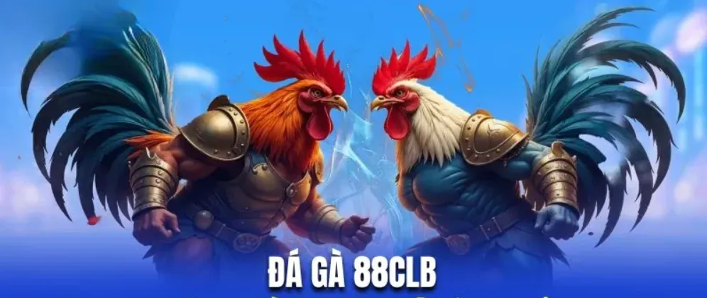Luật chơi cá cược Đá Gà 88CLB